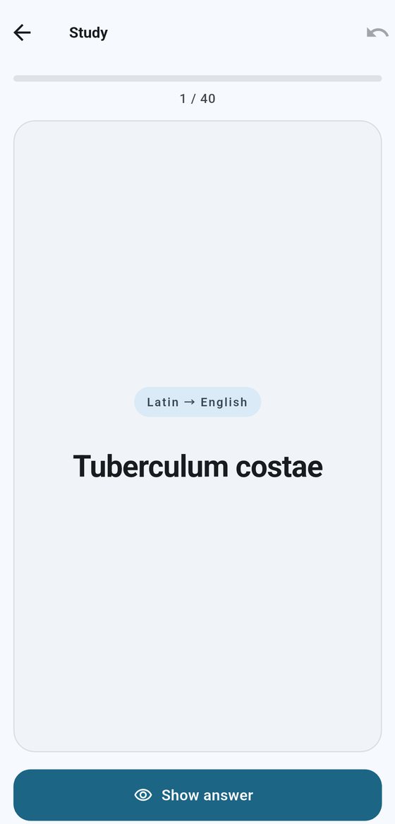 A card asking for the Latin term “Tuberculum costae”, with the Latin to English direction and a Show answer button