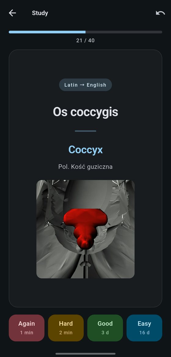 The same card in dark mode: “Os coccygis” with the coccyx highlighted in red